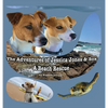 The Adventures of Jessica Jones & Sox - A Beach Rescue - Hardcover