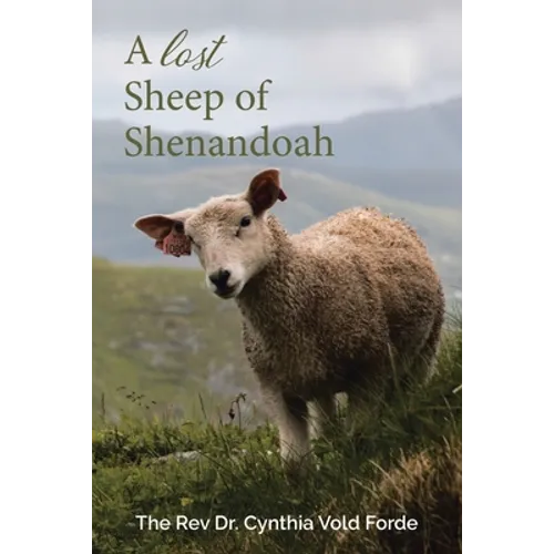 A Lost Sheep of Shenandoah: Charles Edwin Rinker of Virginia and Harry Bernard King of Iowa: Dna Reveals They Were the Same Man - Paperback