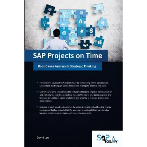 SAP Projects on Time: Root Cause Analysis & Strategic Thinking - Paperback
