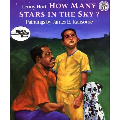 How Many Stars in the Sky? - Paperback