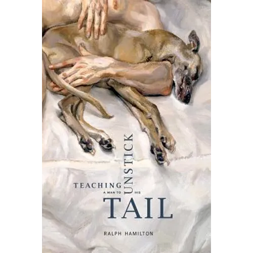 Teaching a Man to Unstick His Tail - Paperback