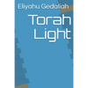 Torah Light - Paperback