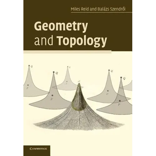 Geometry and Topology - Paperback