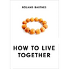 How to Live Together: Novelistic Simulations of Some Everyday Spaces - Paperback