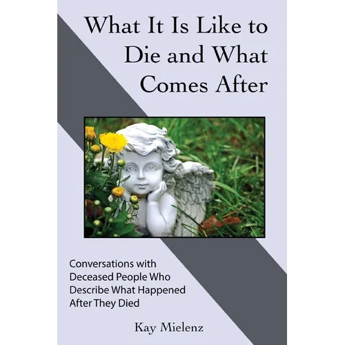 What It Is Like to Die and What Comes After: Conversations with Deceased People Who Describe What Happened After They Died - Paperback