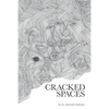 Cracked Spaces - Paperback