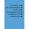 Consensus on Pre-Commissioning Stages for Cogeneration and Combined Cycle Power Plants - Paperback