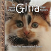 The Journal of Agent Gina Ginger Knickers, Phase Two: Indoctrination & Control - Paperback