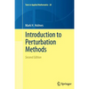 Introduction to Perturbation Methods - Paperback
