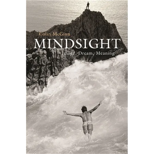Mindsight: Image, Dream, Meaning - Paperback