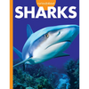Curious about Sharks - Paperback