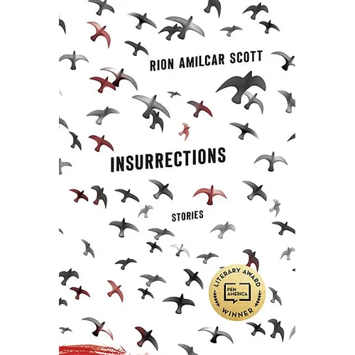 Insurrections: Stories - Paperback