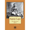 Amrut Laya - International Edition: The Stateless State - Paperback