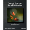 Casting Shadows by A Nightingale - Paperback
