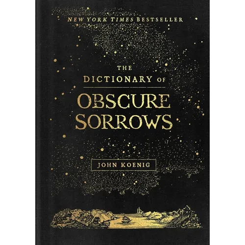 The Dictionary of Obscure Sorrows - Hardcover