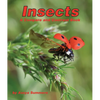 Insects: A Compare and Contrast Book - Paperback
