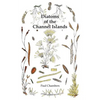 Diatoms of the Channel Islands - Paperback