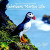 Draw Your Own Encyclopaedia Hebridean Marine Life - Paperback