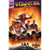 Teenage Mutant Ninja Turtles: Reborn, Vol. 7 - Isolation - Paperback