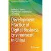 Development Practice of Digital Business Environment in China - Paperback