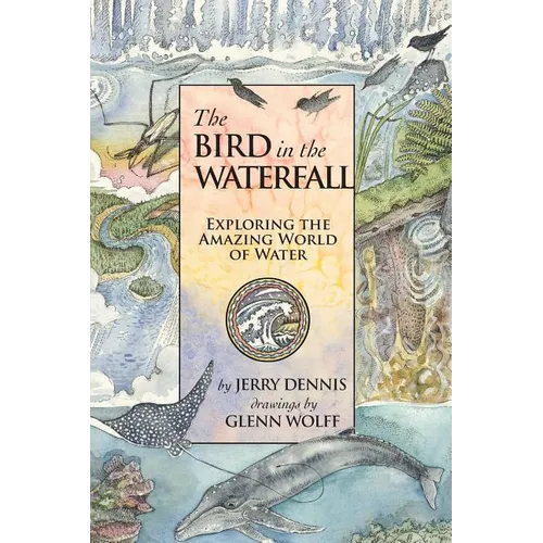 The Bird in the Waterfall: Exploring the Wonders of Water - Paperback