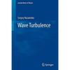 Wave Turbulence - Paperback