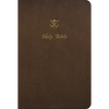 The Ave Catholic Notetaking Bible (Rsv2ce) - Imitation Leather