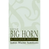 Little Big Horn: A Second Battle - Hardcover