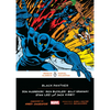 Black Panther - Paperback