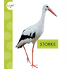 Storks - Paperback