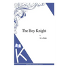 The Boy Knight - Paperback