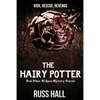 The Hairy Potter: And Other Al Quinn Mystery Stories - Paperback