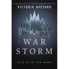 War Storm - Hardcover