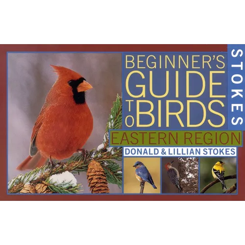 Stokes Beginner's Guide to Birds: Eastern Region - Paperback