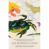Life Between the Tides - Paperback