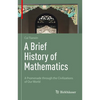 A Brief History of Mathematics: A Promenade Through the Civilizations of Our World - Hardcover