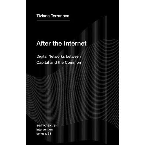 After the Internet: Digital Networks Between Capital and the Common - Paperback