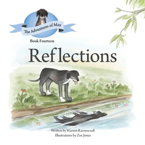 Reflections - Paperback