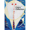 Golda and Meyer Marks Cobra Collection: Nsu Art Museum Fort Lauderdale - Paperback