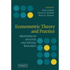 Econometric Theory and Practice - Hardcover
