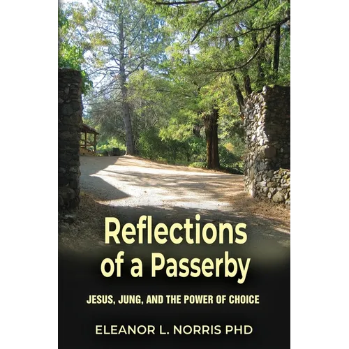 Reflections of a Passerby: Jesus, Jung, and the Power of Choice - Paperback