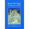 Jesus the Sage Paper Edition - Paperback