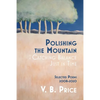 Polishing the Mountain, or Catching Balance Just in Time: Selected Poems 2008-2020 - Paperback