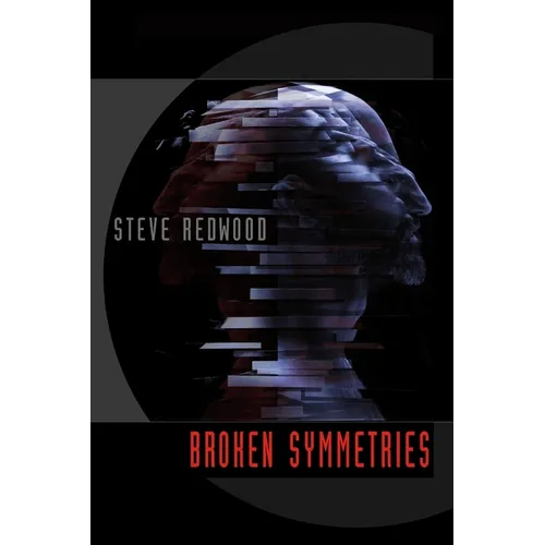 Broken Symmetries - Paperback