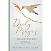 Daily Prayer through the Life of Jesus (Praying through the Gospel of Luke) - Paperback