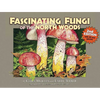 Fascinating Fungi of the North Woods, 2nd Edition - Paperback