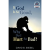 If God is So Good, Why Do I Hurt So Bad?: 25th Anniversary Special Edition - Paperback
