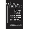 Color and Culture: Black Writers and the Making of the Modern Intellectual - Paperback