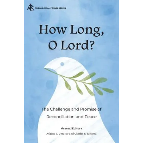 How Long, O Lord?: The Challenge and Promise of Reconciliation and Peace - Paperback