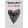 Florida Fossil Shark Teeth Identification Guide: The Fossil Shark Teeth Most Commonly Found In Florida - Paperback